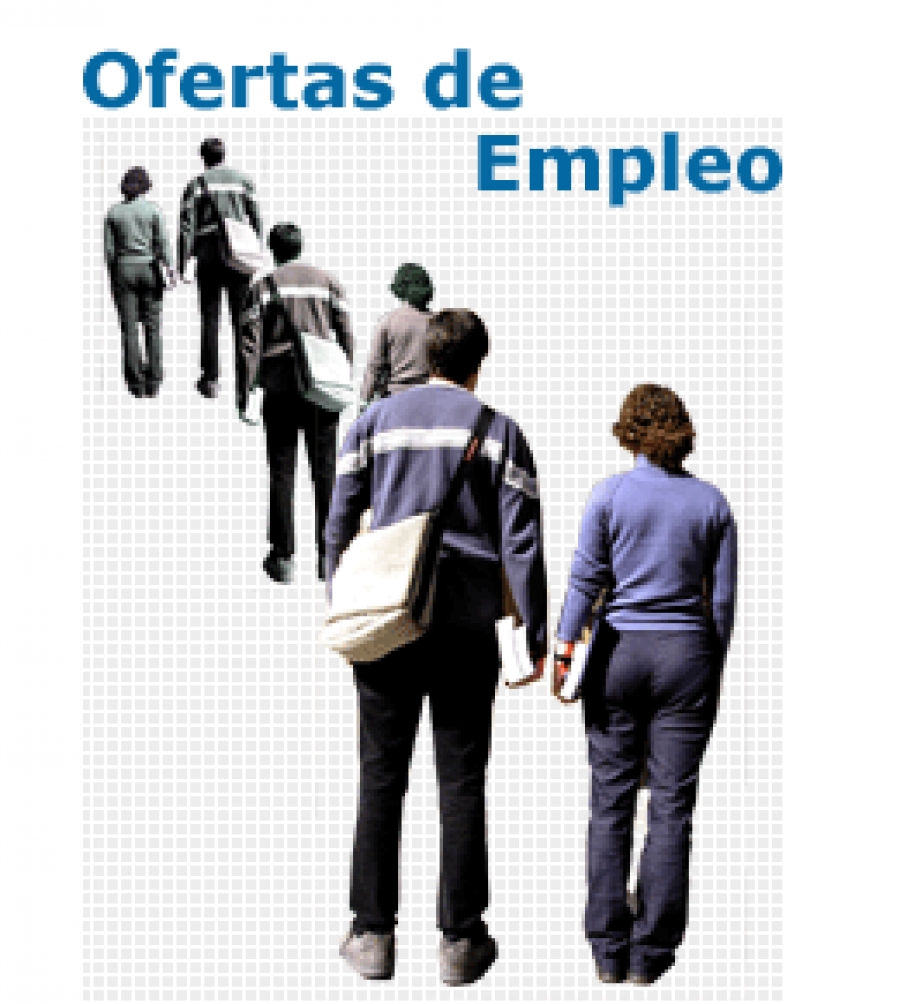 OFERTA DE EMPLEO - DOCENTE CURSO DE &quot;INFORMACIÓN JUVENIL&quot;